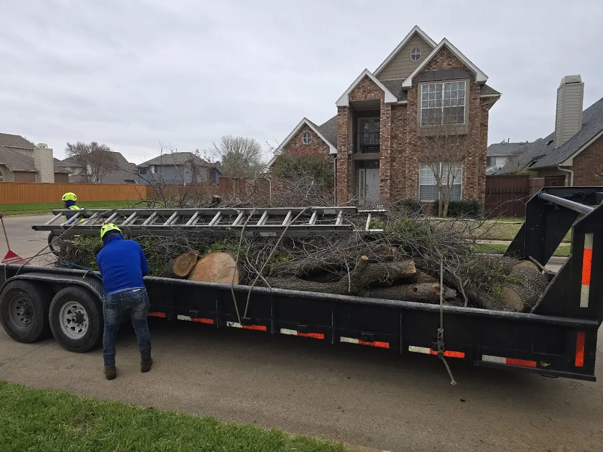 Expert Tree Removal with proper safety equipment in Baxter Springs